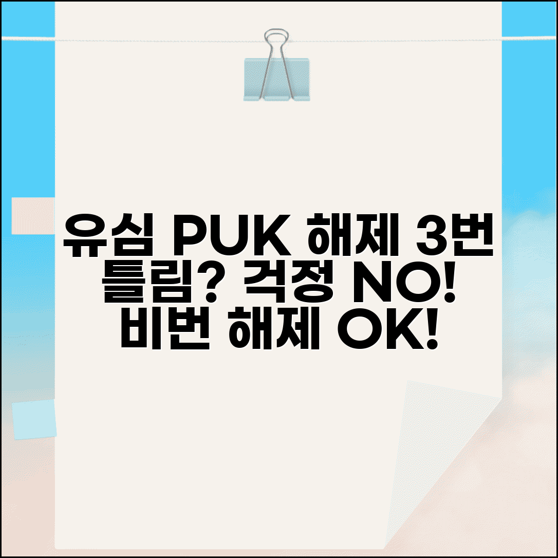 유심 핀번호 3번 틀림 해제 | 유심카드 핀번호 puk 해제