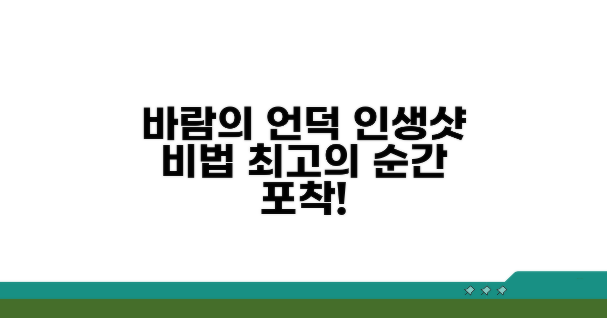 바람의 언덕 인생샷 찍는 법