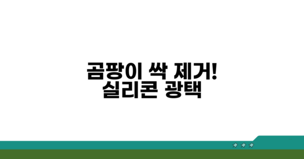 실리콘 곰팡이 완벽 제거법